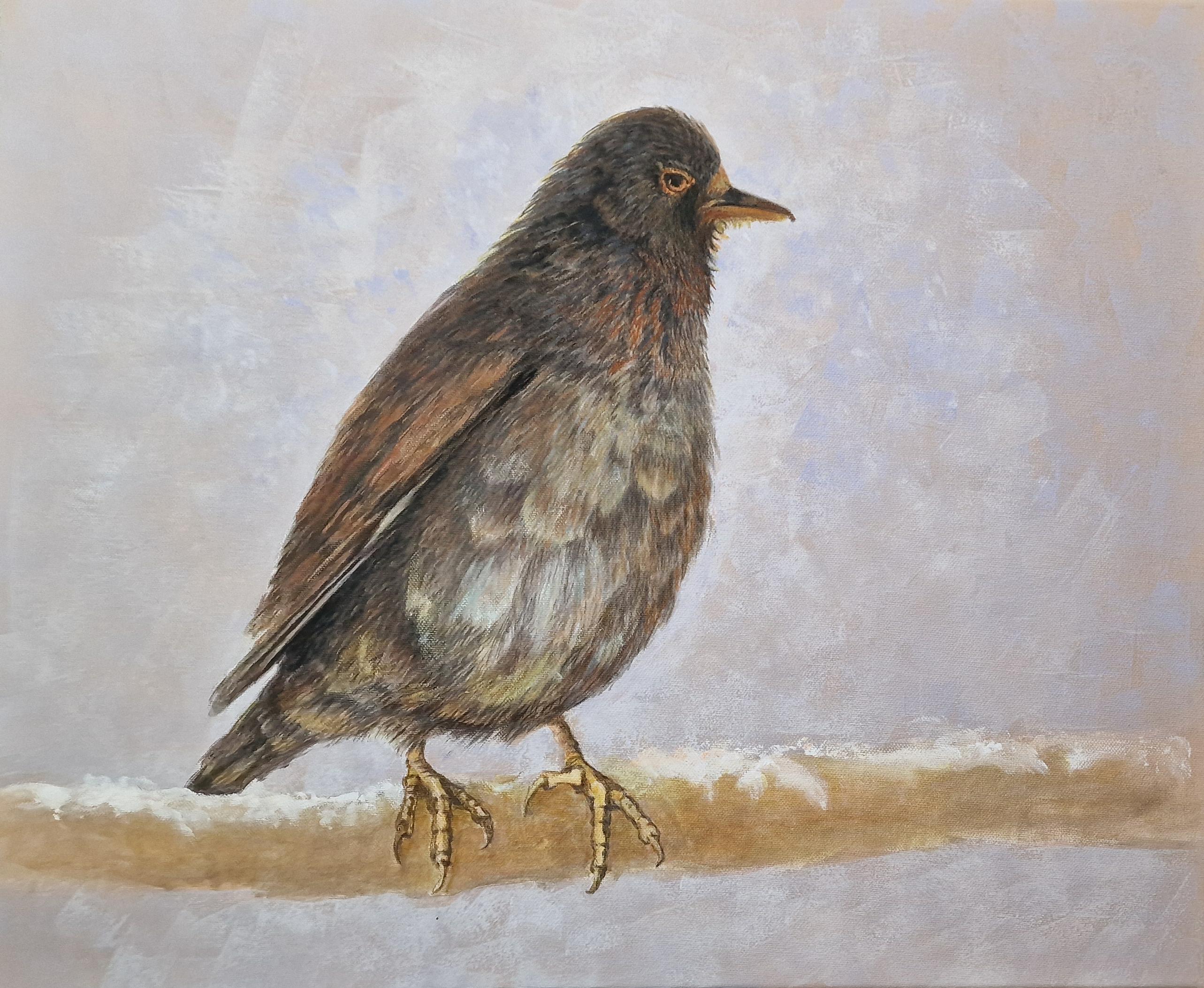 She - The black bird